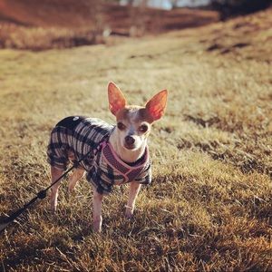 Meet your Posher, Danielle